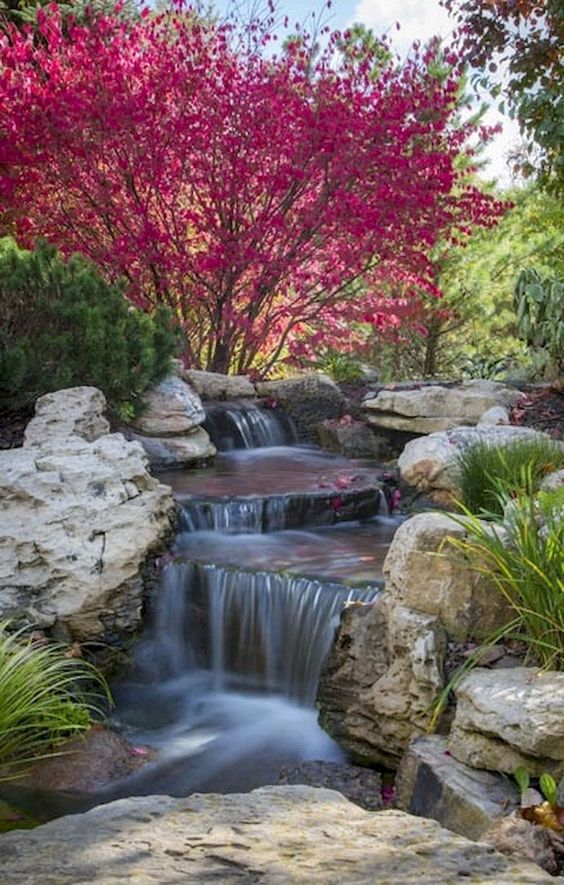 Backyard Water Feature Ideas: Make People Fall for It