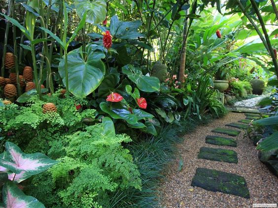tropical backyard ideas 21