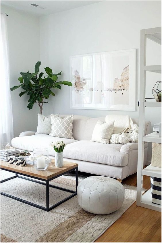 Living Room Apartment Ideas: Elegant All-White Room
