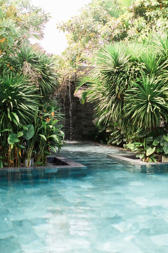 Swimming Pool Garden Ideas: Attractive Backyard Pool