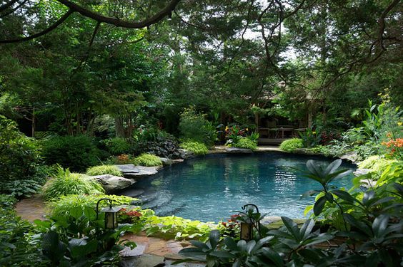 Swimming Pool Garden Ideas