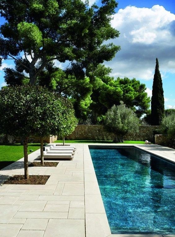Rectangle Swimming Pool Ideas: Fresh Backyard View