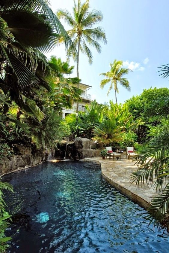 Big Swimming Pool Ideas: Fresh Tropical Vibe