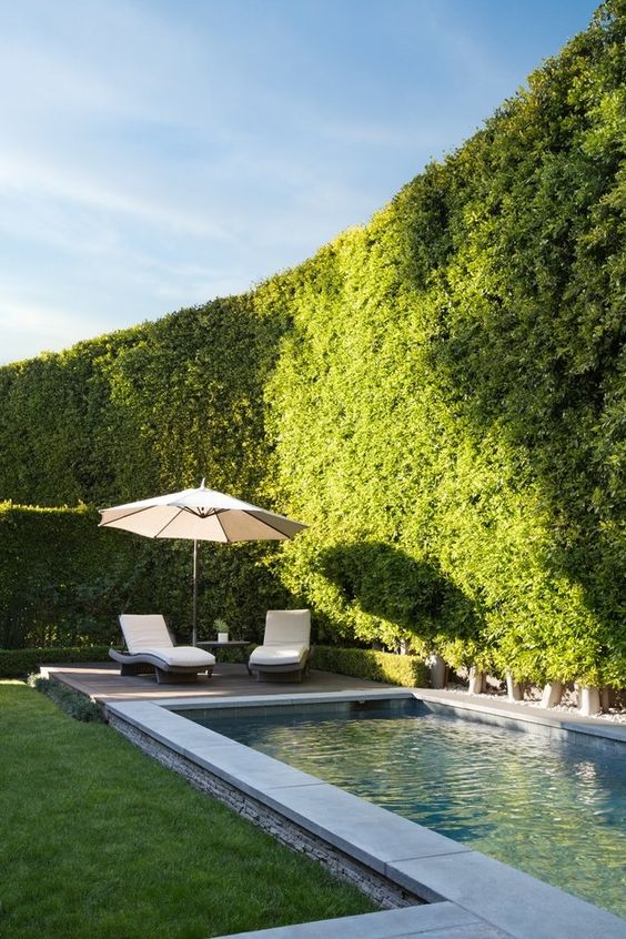 Swimming Pool Landscaping Ideas: Elegant Natural Fence