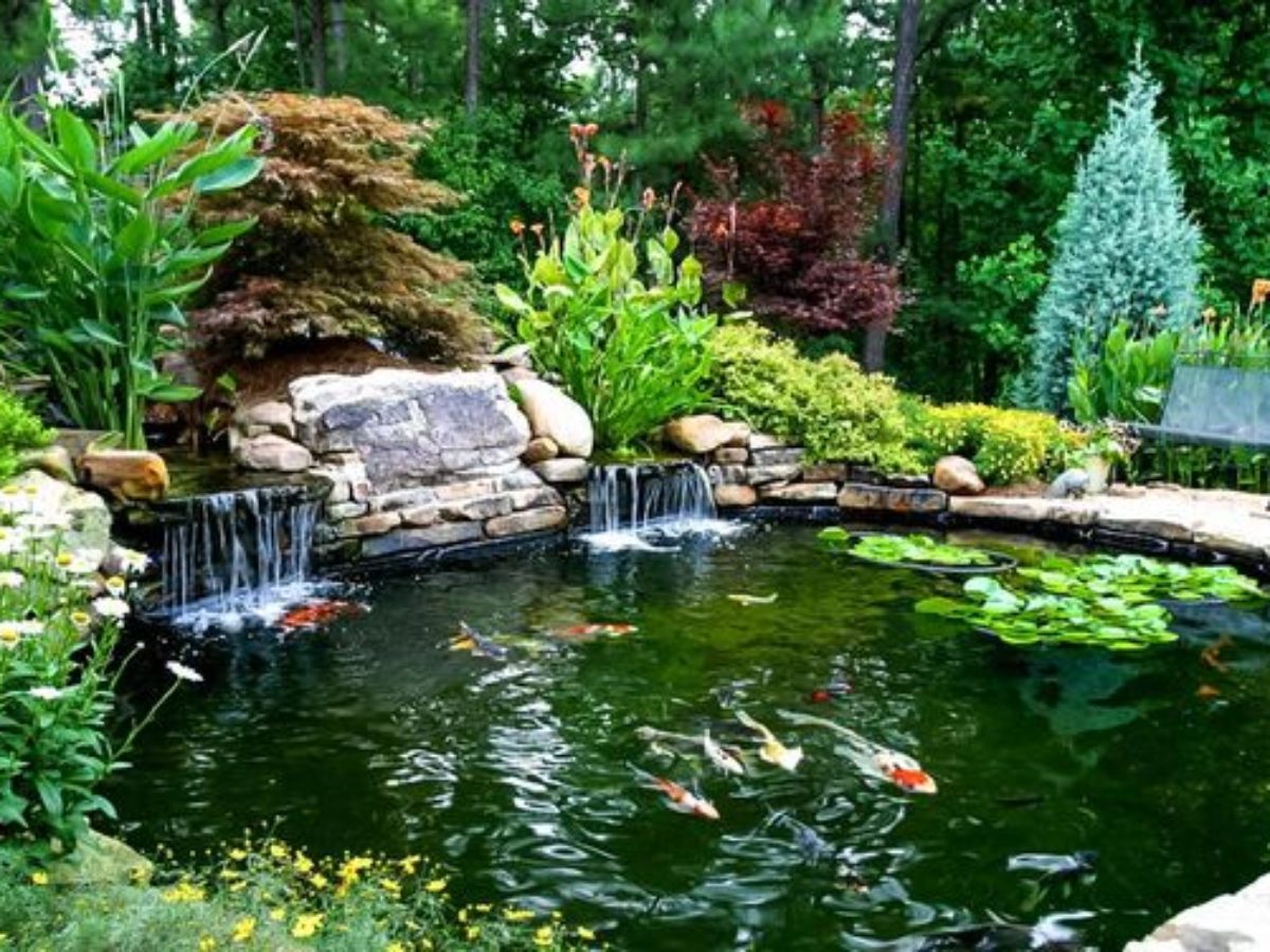Dazzling Backyard Pond Ideas To Bring, Pond Landscaping Ideas