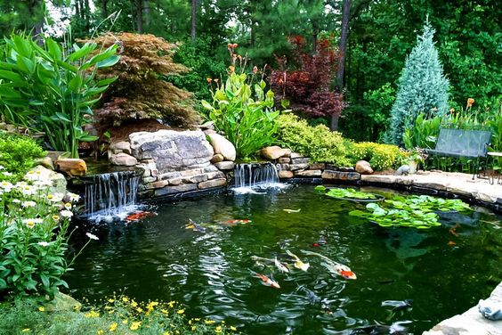 Backyard Pond Ideas