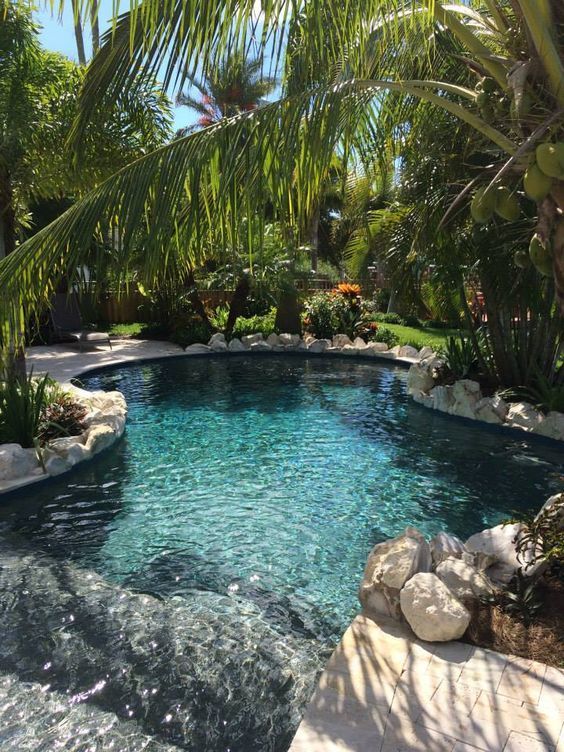 Backyard Pool Ideas: Fresh Tropical Landscaping