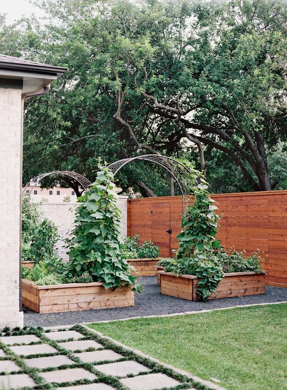 Backyard Garden Ideas 1