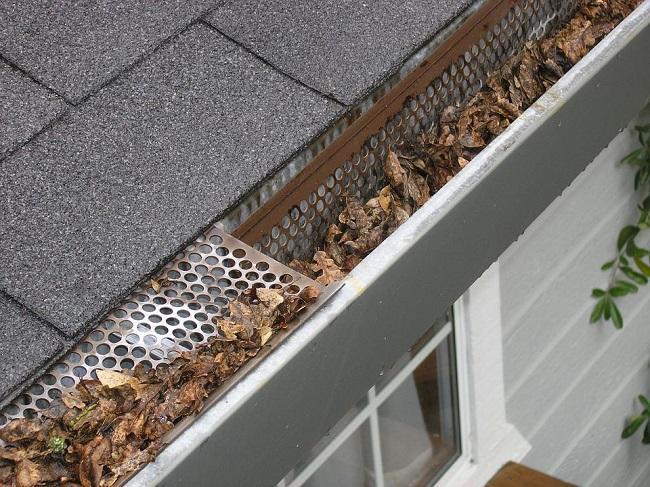 Cleaning Guttering - Find Out How to Clean and Maintain Your Gutters