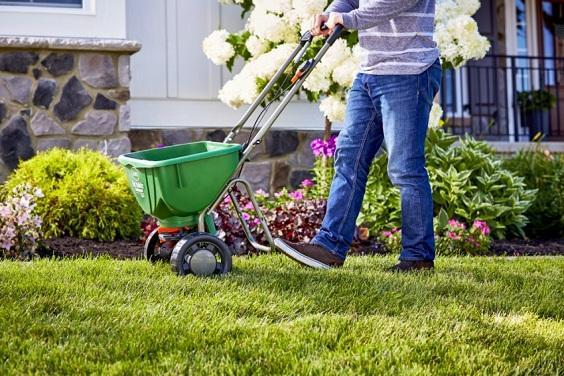 How to Manage Backyard Lawn
